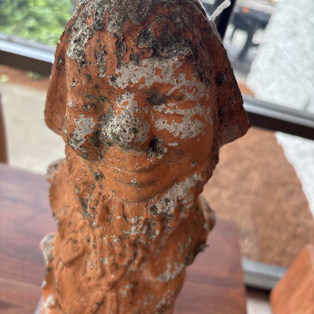 Garden Gnome Standing Tall