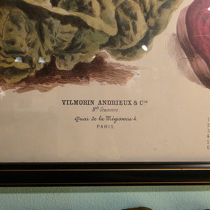 Album Vilmorin