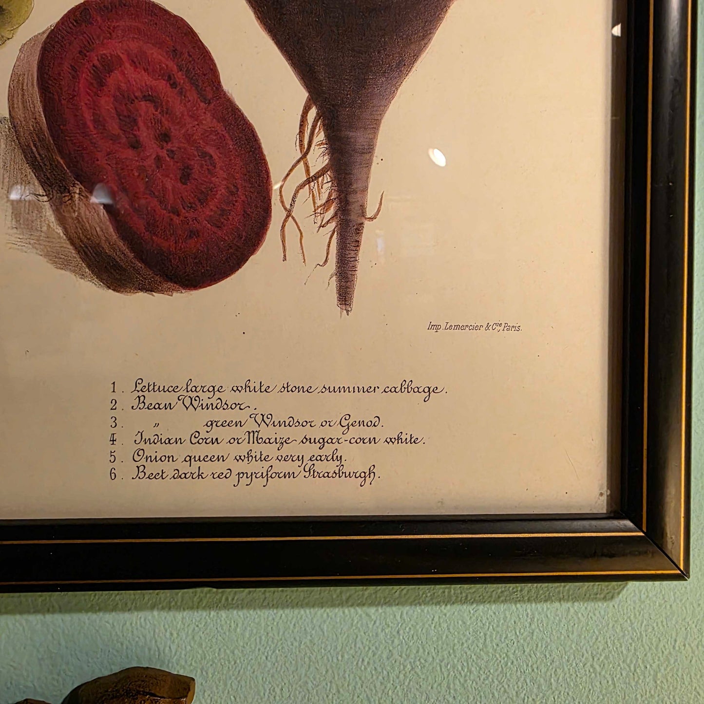 Album Vilmorin