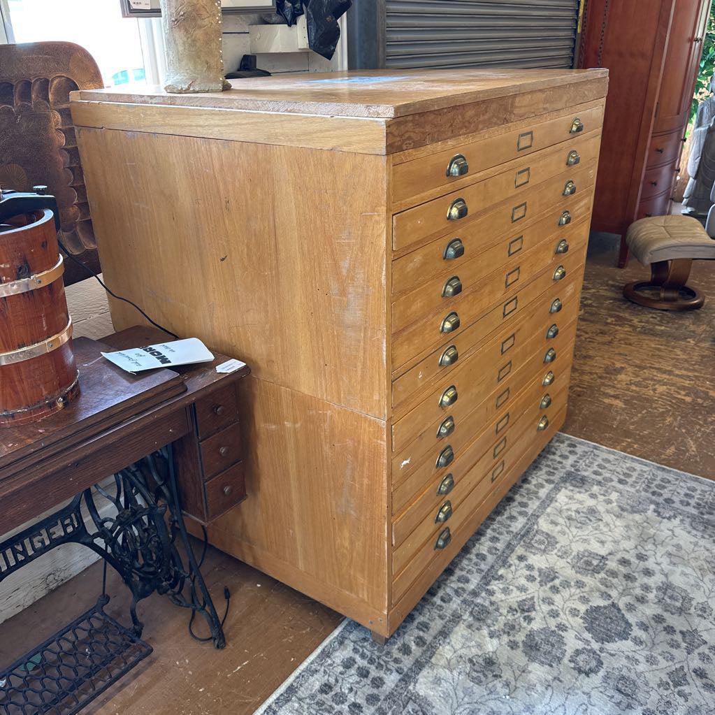 Vintage US FOREST SERVICE Map Storage