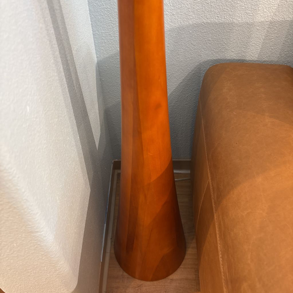 Contemporary Espresso Floor Lamp