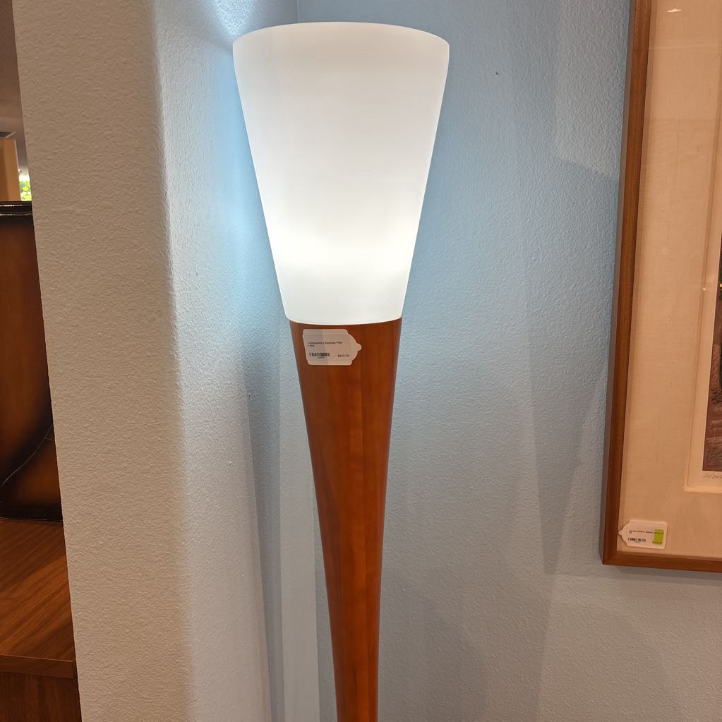 Contemporary Espresso Floor Lamp