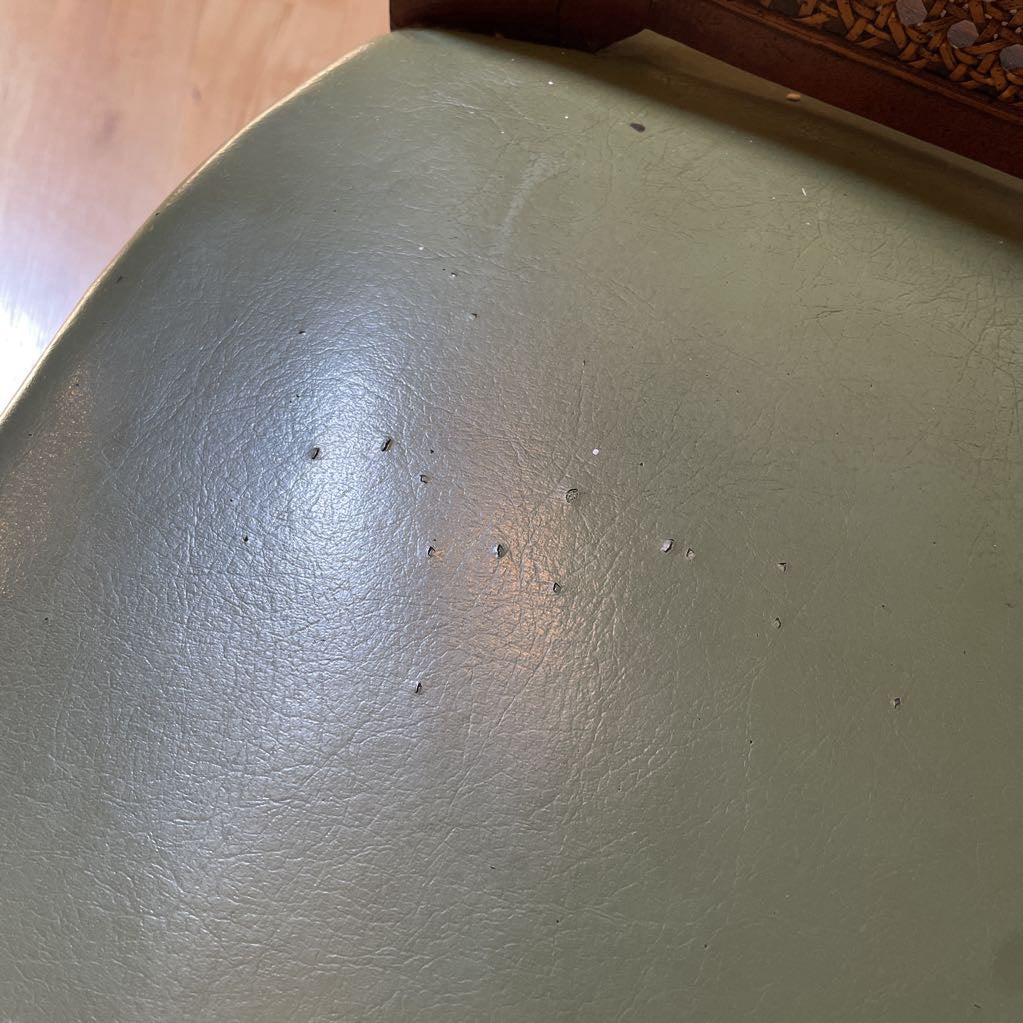 Cane Curved Back Green Leather Accent Chair