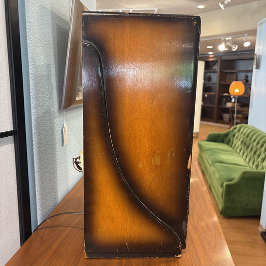 Vintage Radio UNIQUE FINDS