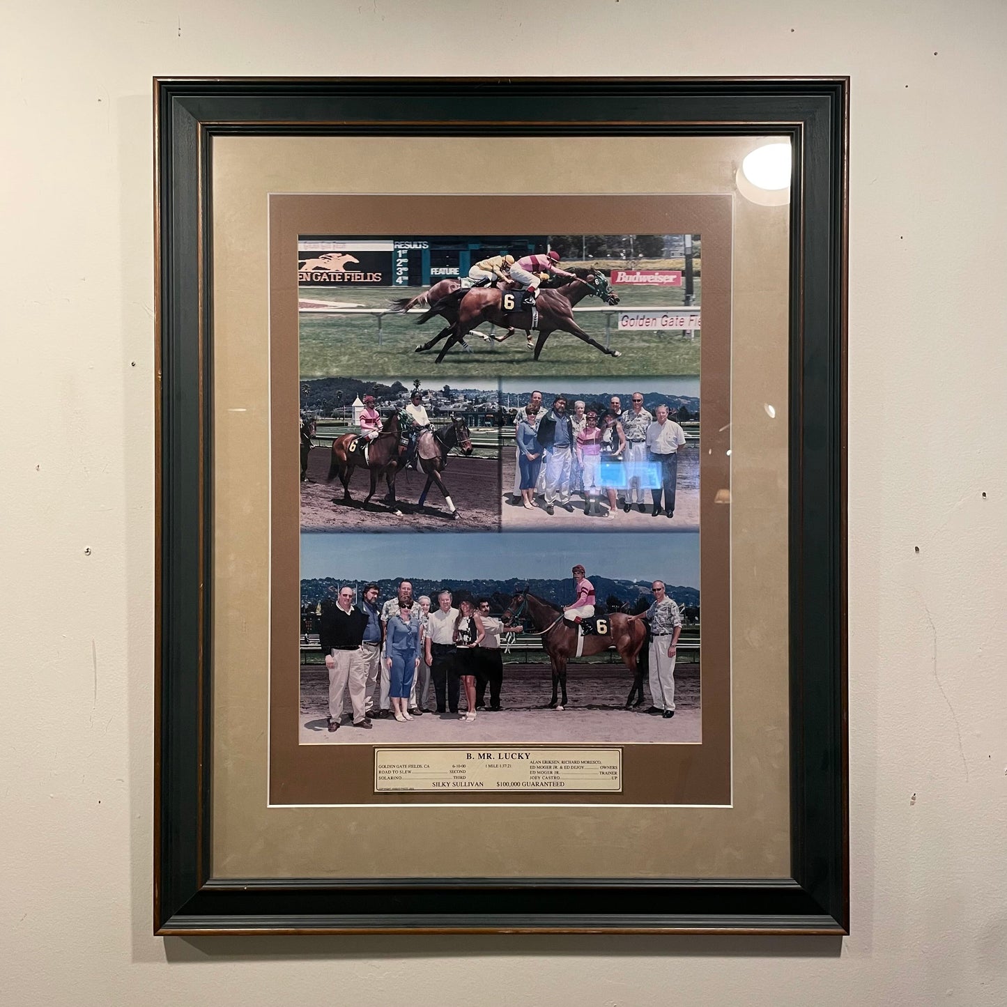 Horse Racing Photo Display