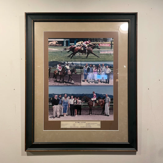 Horse Racing Photo Display ART