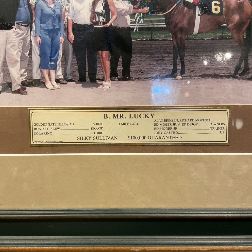 Horse Racing Photo Display
