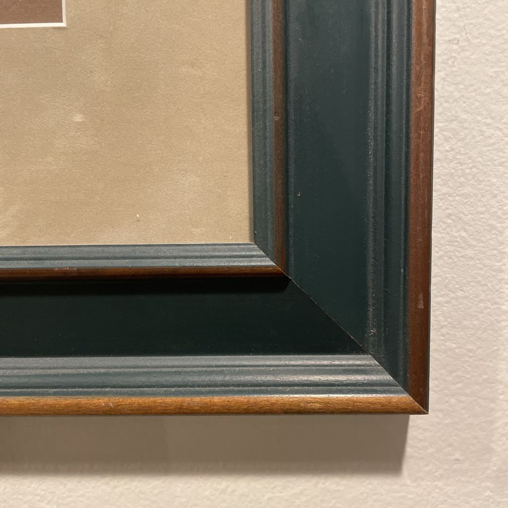 Horse Racing Photo Display