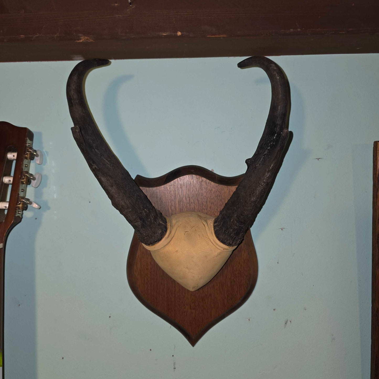 Bukckskin Wrapped & Mounted Horns