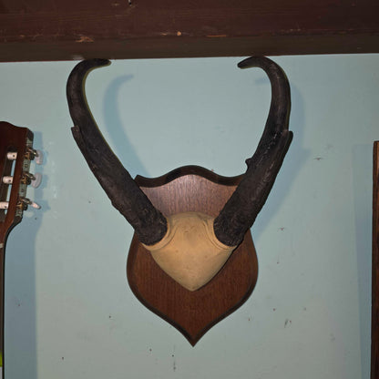 Bukckskin Wrapped & Mounted Horns
