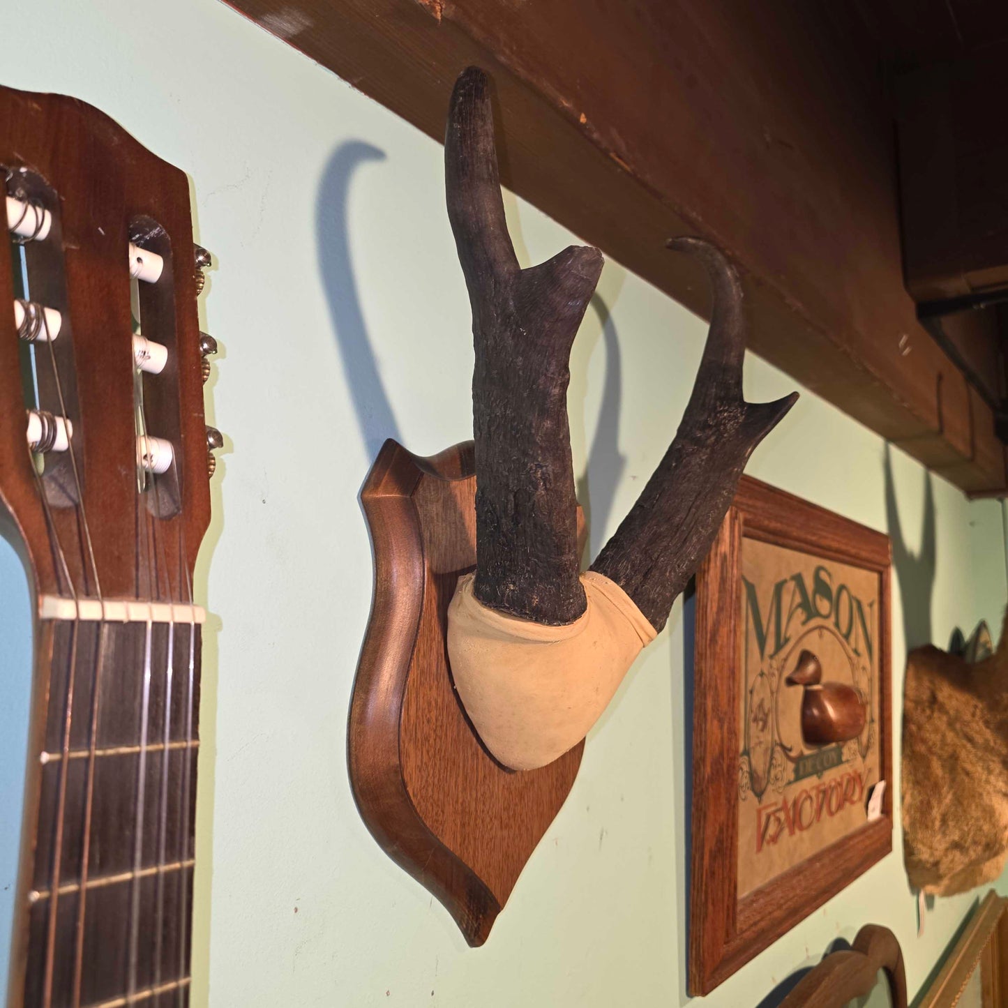 Bukckskin Wrapped & Mounted Horns