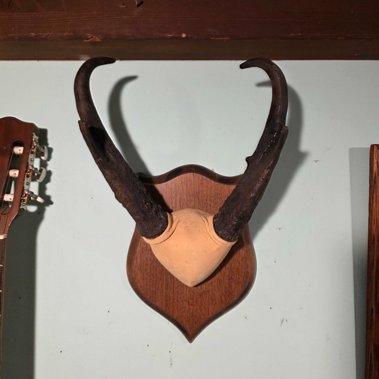 Bukckskin Wrapped & Mounted Horns