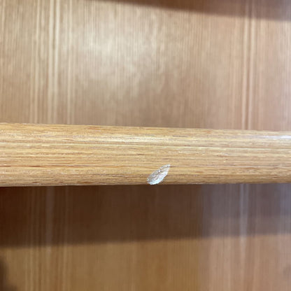 Oak Double Wide Danish Made Bookshelf