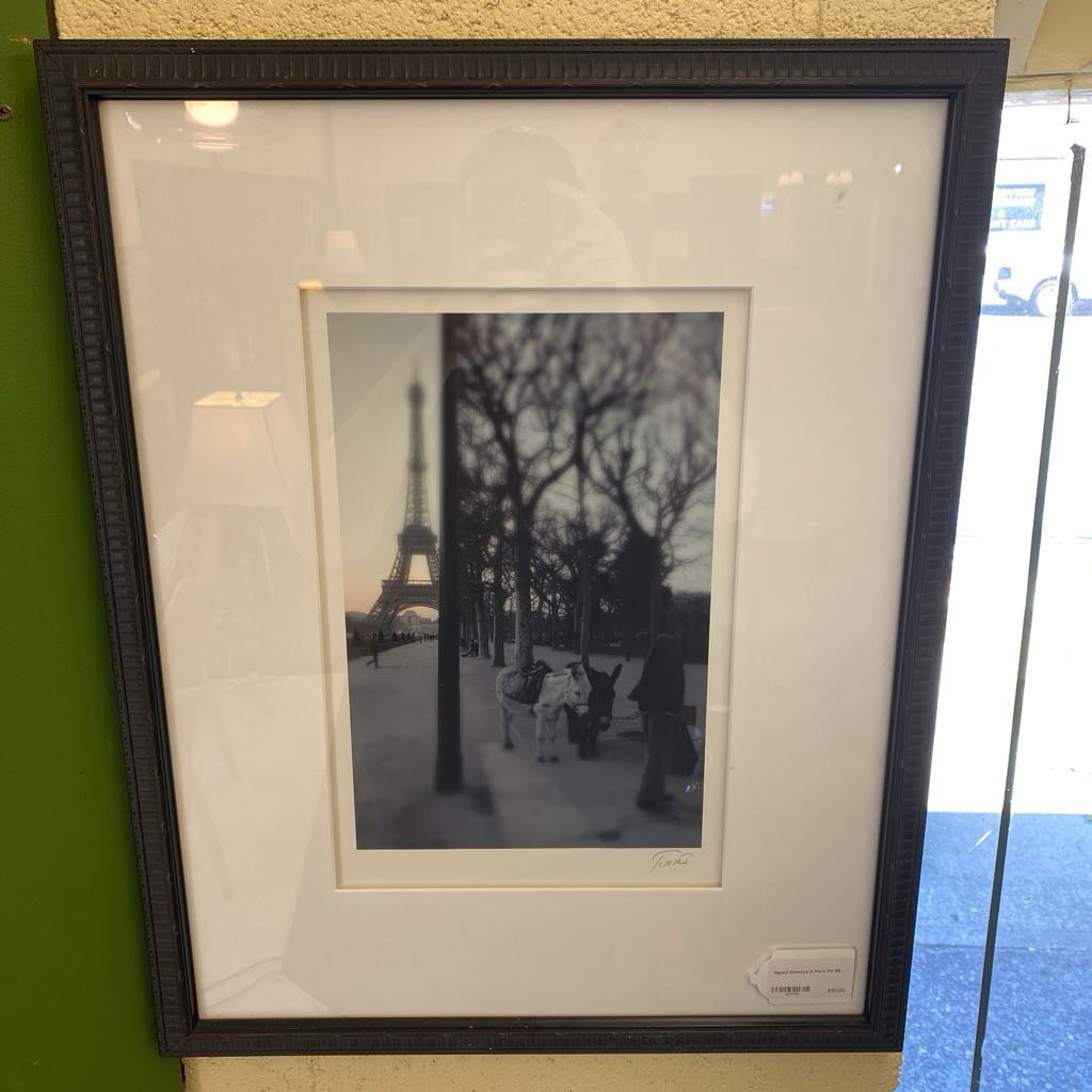 Signed Donkeys in Paris Pic