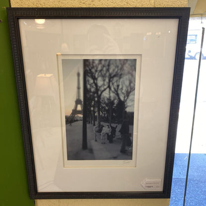 Signed Donkeys in Paris Pic