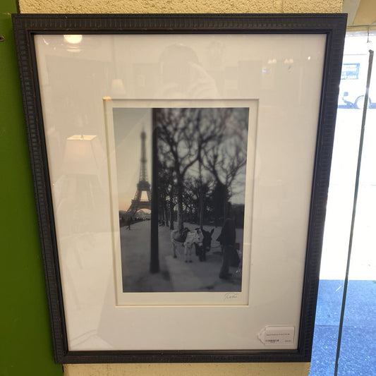 Signed Donkeys in Paris Pic ART