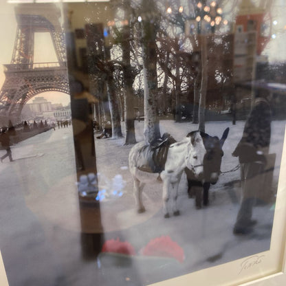 Signed Donkeys in Paris Pic