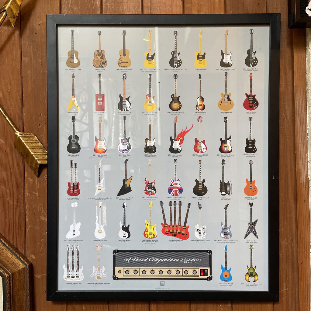 Guitar Types Art Poster
