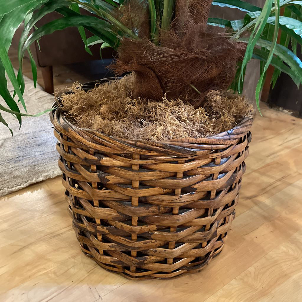 Faux Tall Palm Plant in Woven Basket SMALLS