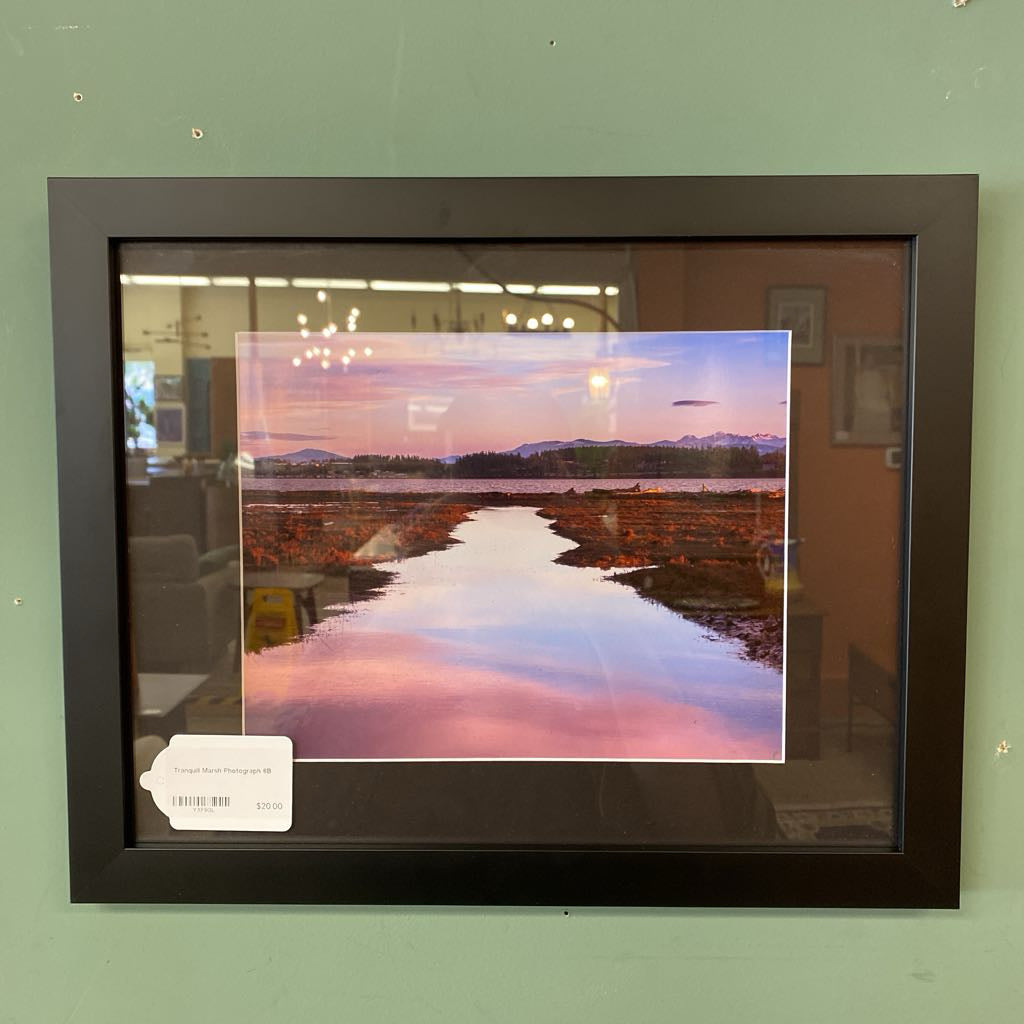 Tranquill Marsh Photograph
