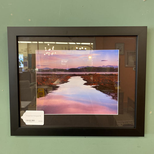 Tranquill Marsh Photograph ART
