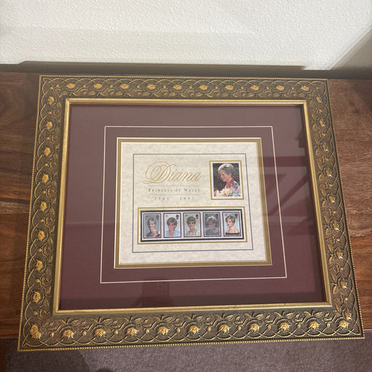 Princess Diana Picture Frame ART