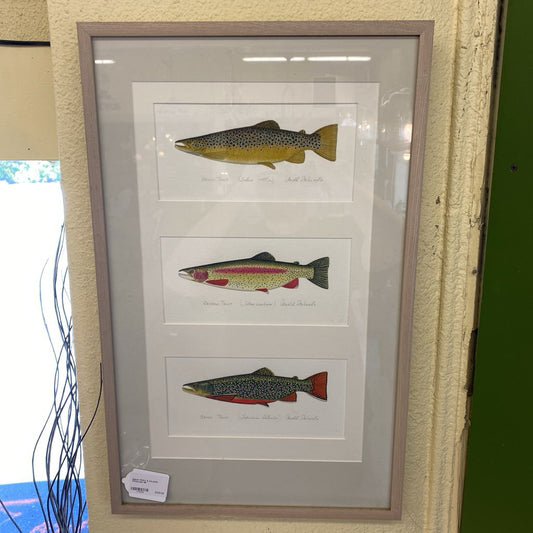 Signed TROUT & SALMON Watercolor ART