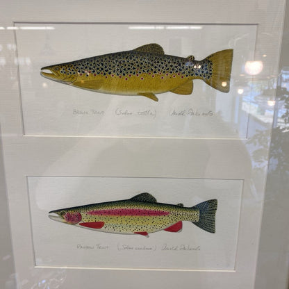 Signed TROUT & SALMON Watercolor