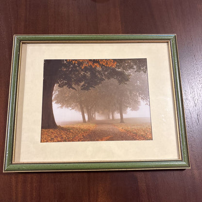 Foggy Autumn Walkway Print