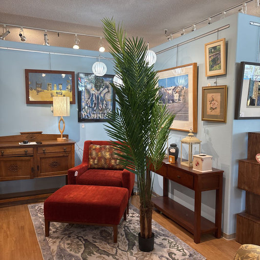 7 Foot Areca Palm Tree SMALLS
