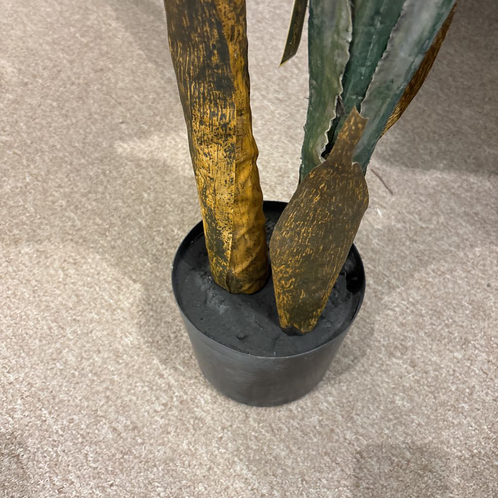 6 Foot Banana Tree