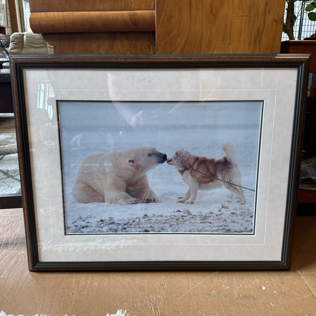 Polar Bear and Husky Print
