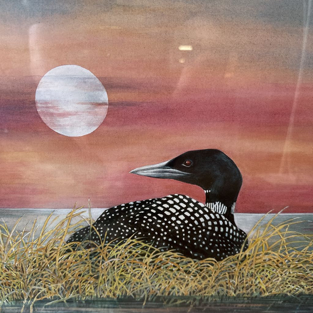 Signed and Numbered Loon Watercolor Print