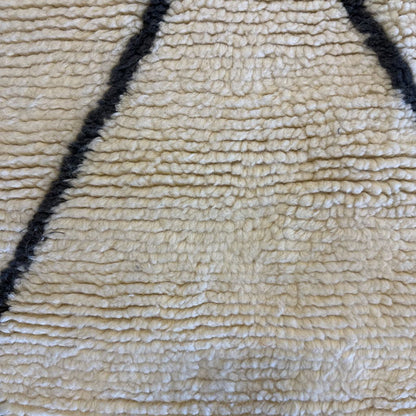 8x10 West Elm Rug