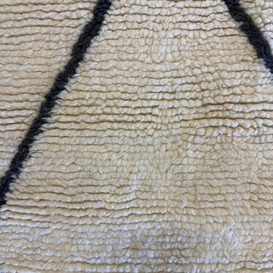 8x10 West Elm Rug
