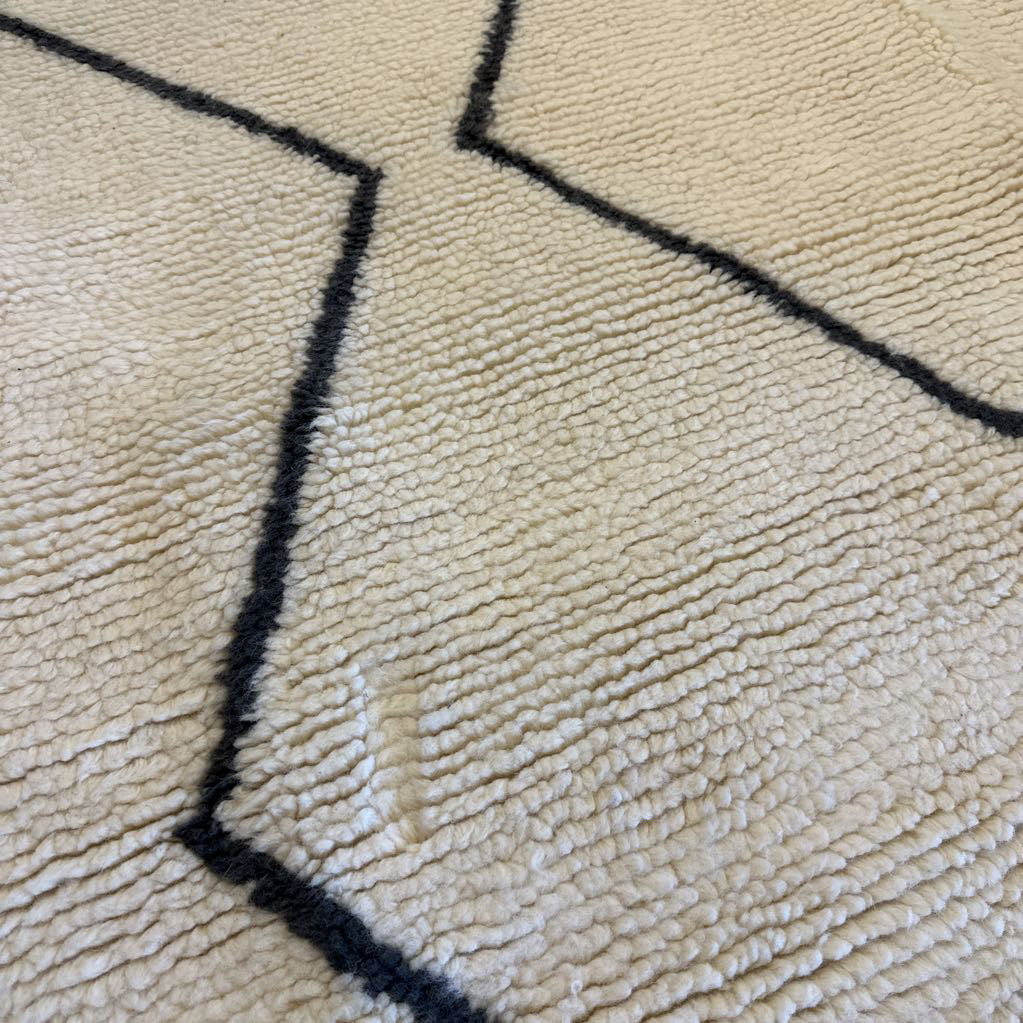 8x10 West Elm Rug