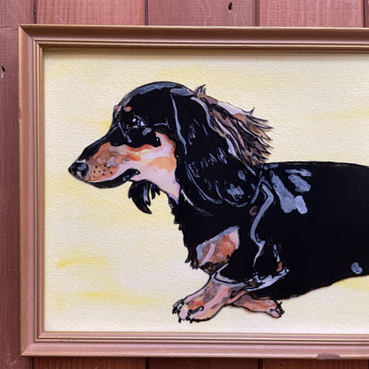 Weeeeeeeiner Dog