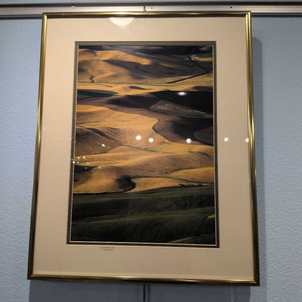 Alison Meyer photo with Gold Frame