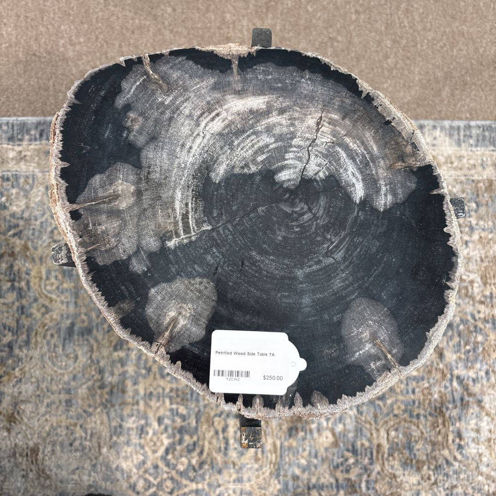 Petrified Wood Side Table C SIDE TABLES