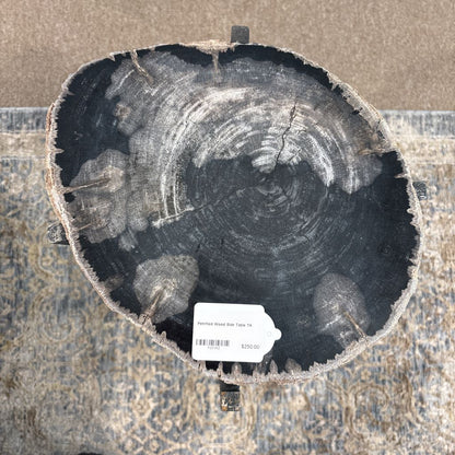 Petrified Wood Side Table C SIDE TABLES