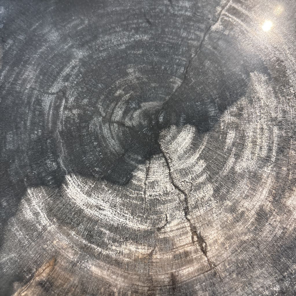 Petrified Wood Side Table C SIDE TABLES