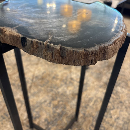 Petrified Wood Side Table C SIDE TABLES