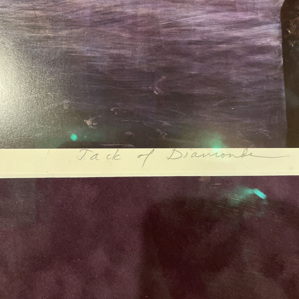 Hawk in Bay Mountainscape Artwork