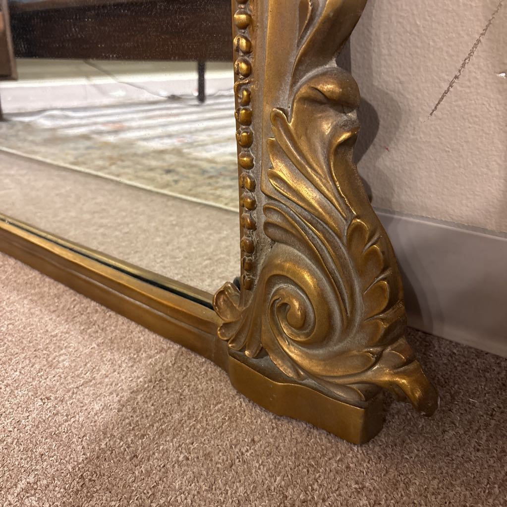 Anthropologie Gleaming Primrose Mirror 7'