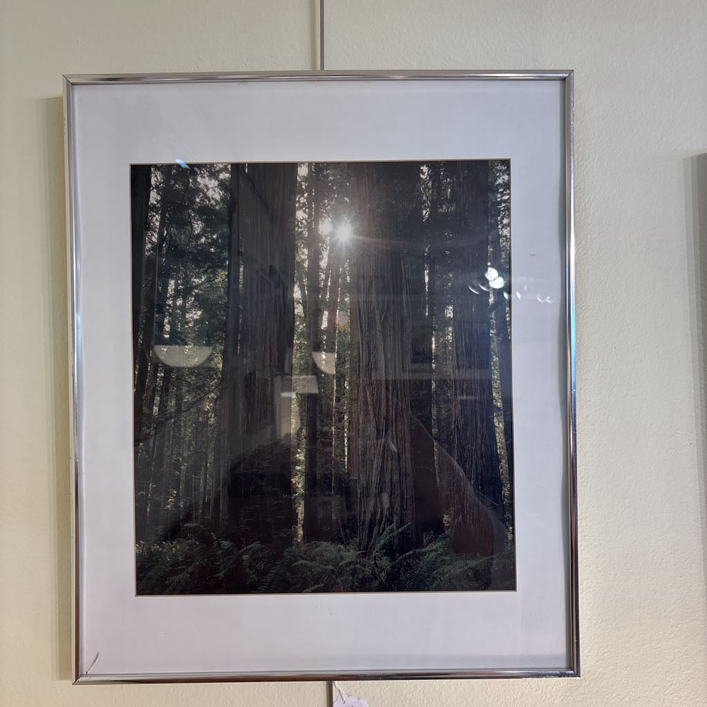 Nature Print