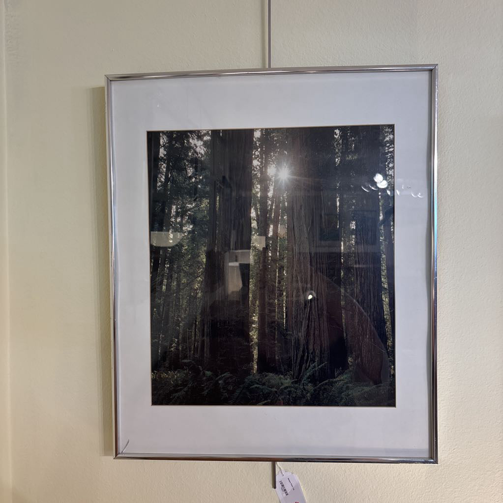 Nature Print