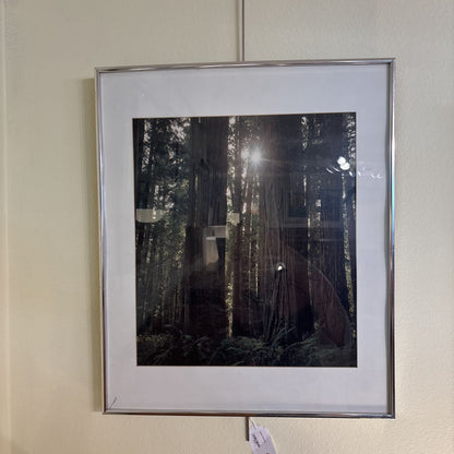 Nature Print