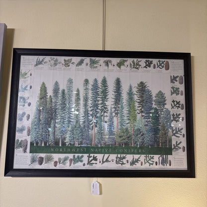 NW Tree Print