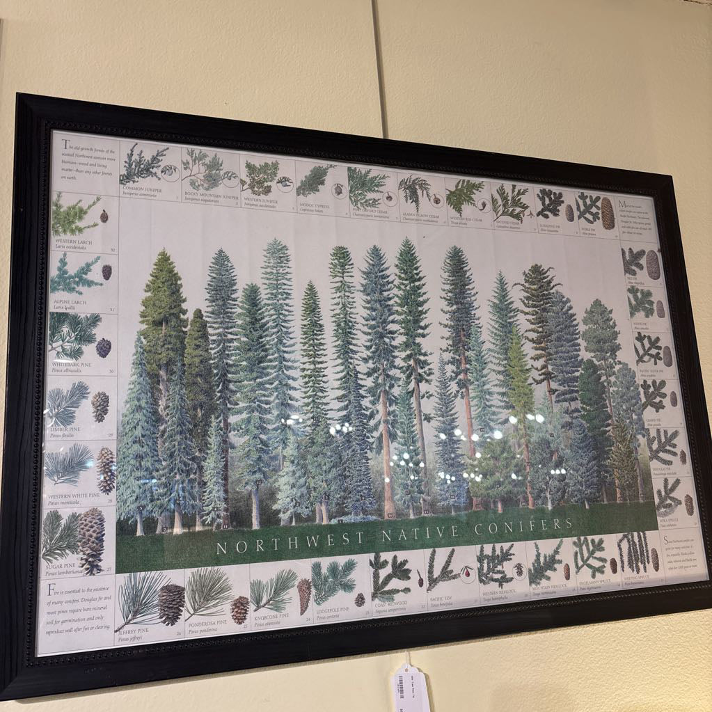 NW Tree Print