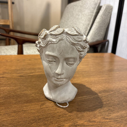 Anthropology Greek Bust